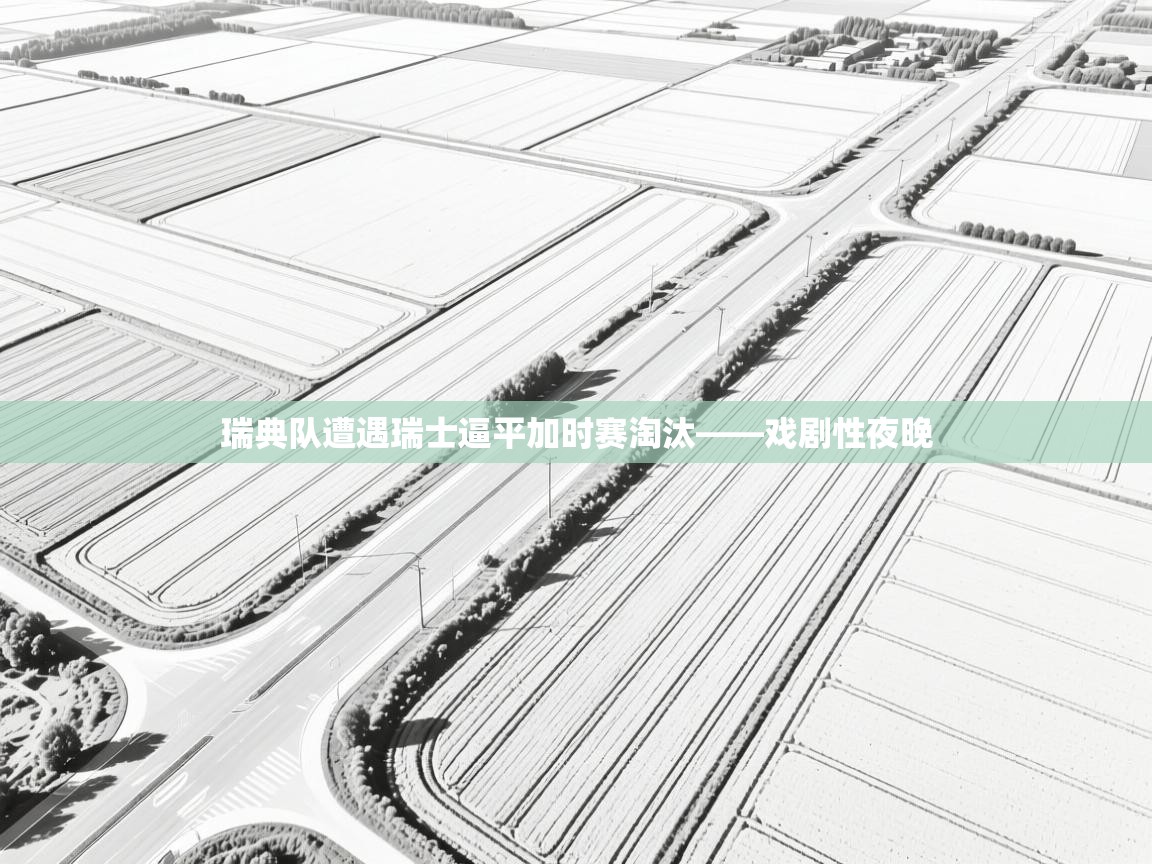 瑞典队遭遇瑞士逼平加时赛淘汰——戏剧性夜晚 第2张